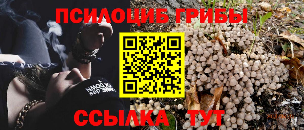 Псилоцибиновые грибы MAGIC MUSHROOMS Кемерово
